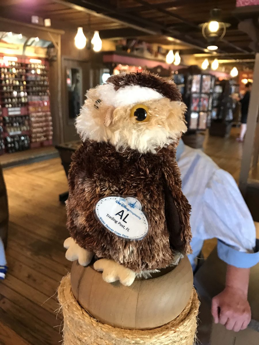 PHOTO REPORT: The Magic Kingdom 1/20/17 (The Hall of Presidents, VHS, Al the Owl, Refurbishments, Etc.)