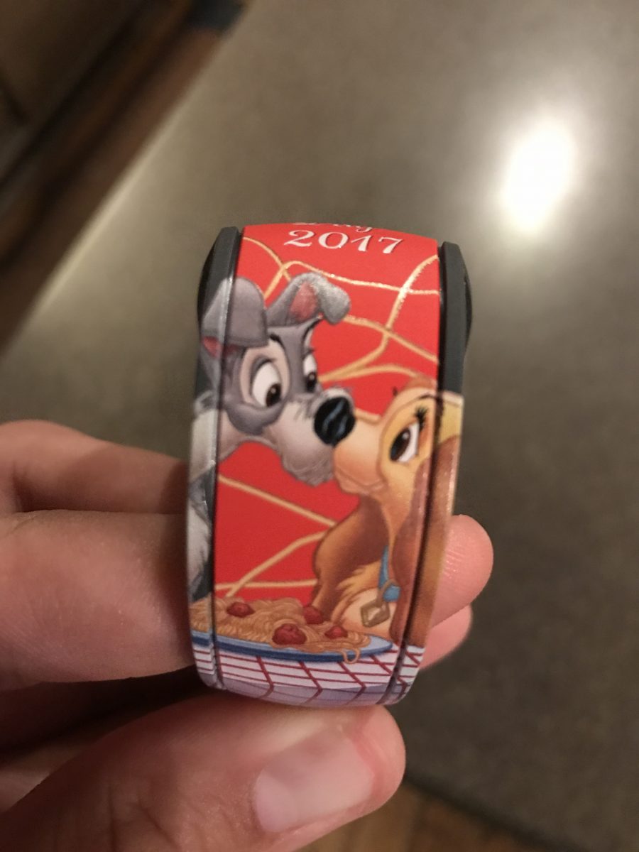 PHOTO REPORT: The Magic Kingdom 1/20/17 (The Hall of Presidents, VHS, Al the Owl, Refurbishments, Etc.)