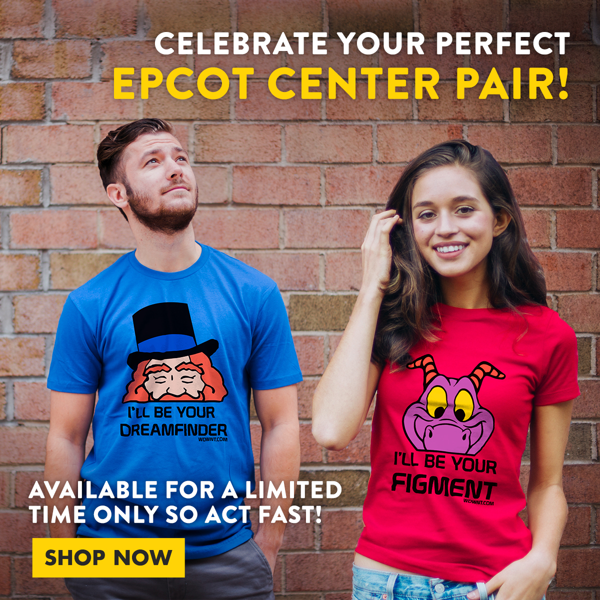 Epcot Couples Shirts