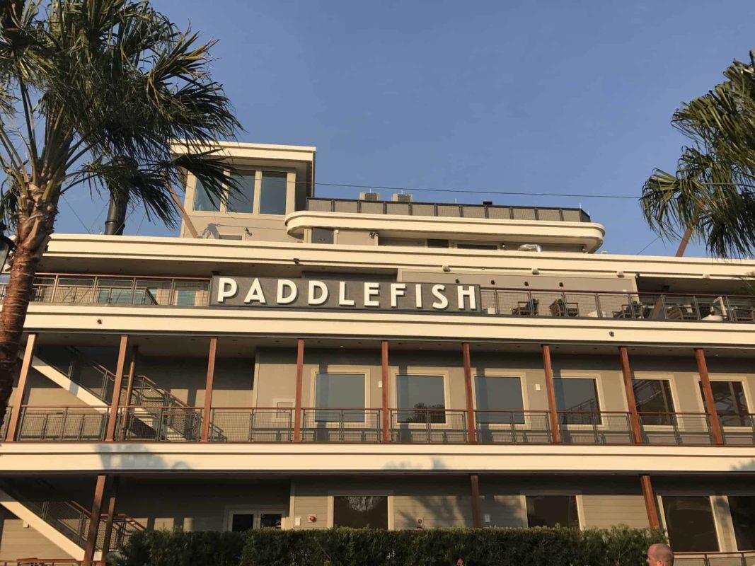 PHOTOS: Paddlefish Restaurant Opens at Disney Springs