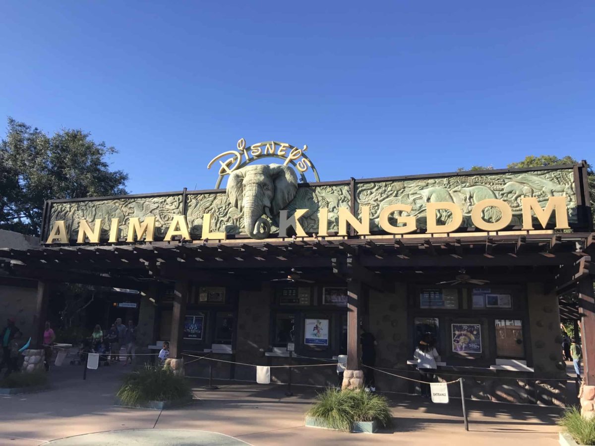 PHOTO REPORT: Disney's Animal Kingdom 3/27/17 (AVATAR, Rivers of Light, New Merchandise, Willie the Anteater, Etc.)