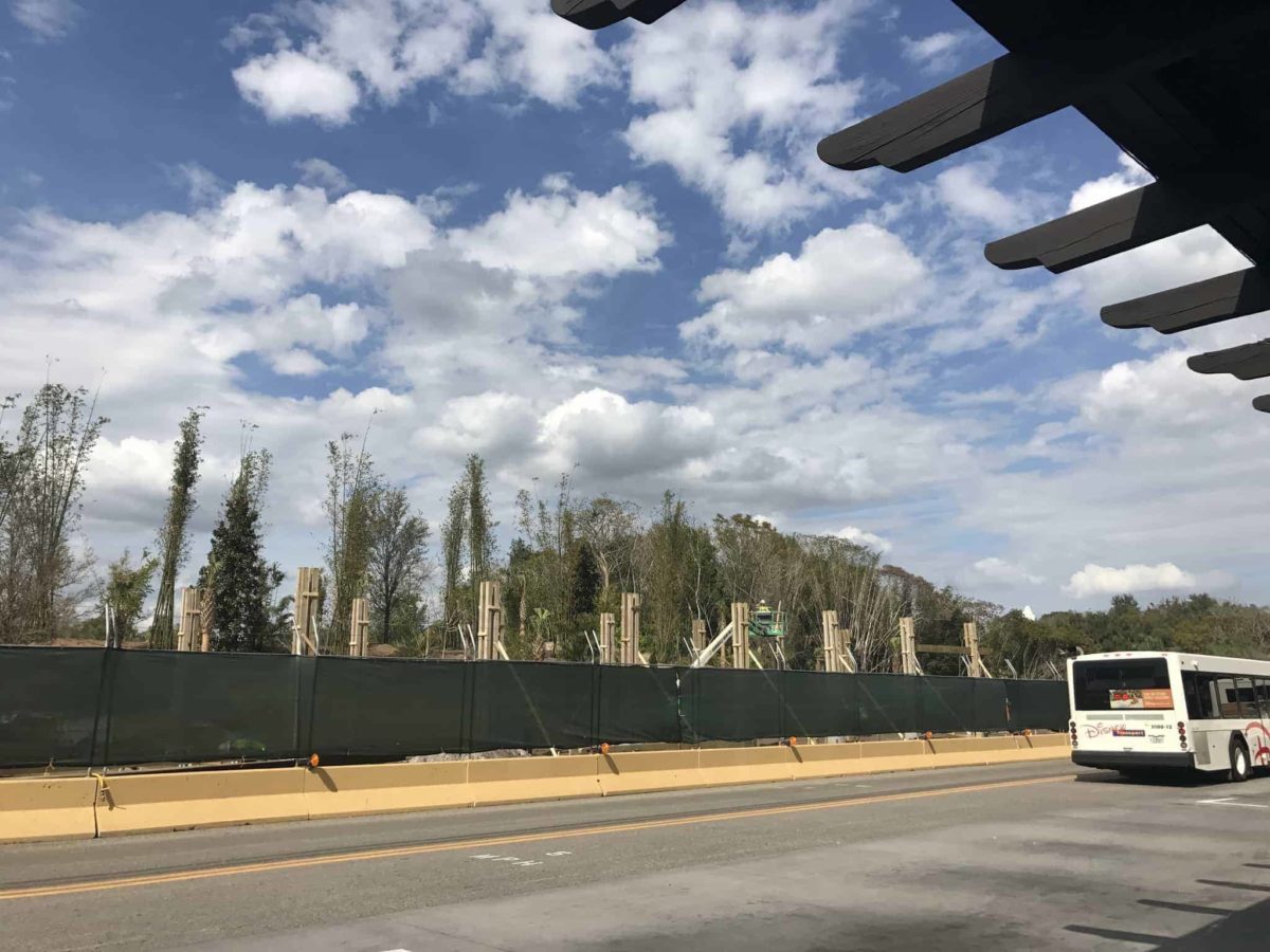 PHOTOS: Disney's Animal Kingdom Expanding Bus Loop for Pandora - The World of AVATAR