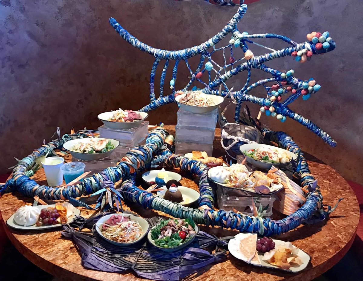 REVIEW: Satuli Canteen Lunch and Dinner, Pandora - The World of AVATAR at Disney's Animal Kingdom