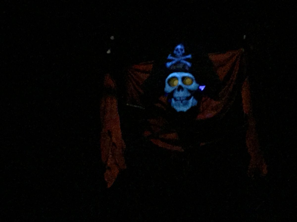 PHOTOS, VIDEO: Talking Skull Returns After 11-Year Hiatus to Mask New On-Ride Photo at Pirates of the Caribbean