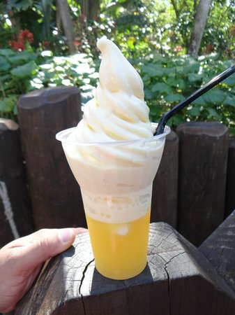 Dole Whip & More Restaurants Coming to Mobile Order at Disney World