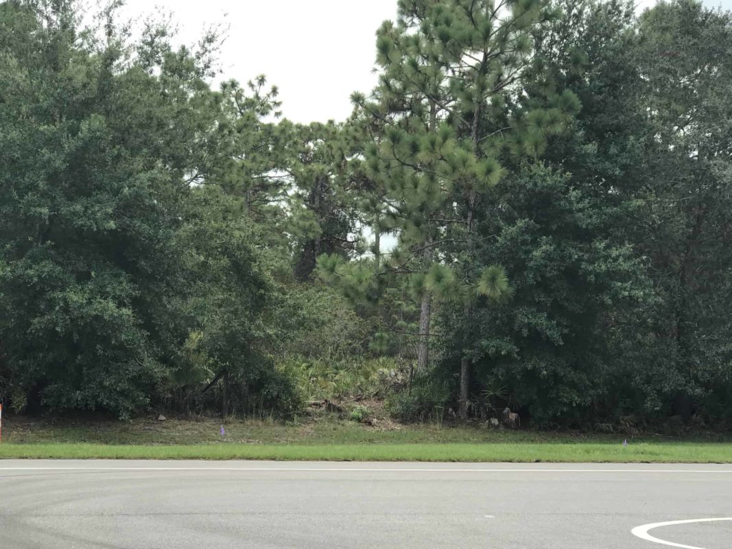 PHOTOS: Land Clearing Has Begun for Epcot's Guardians of the Galaxy Ride