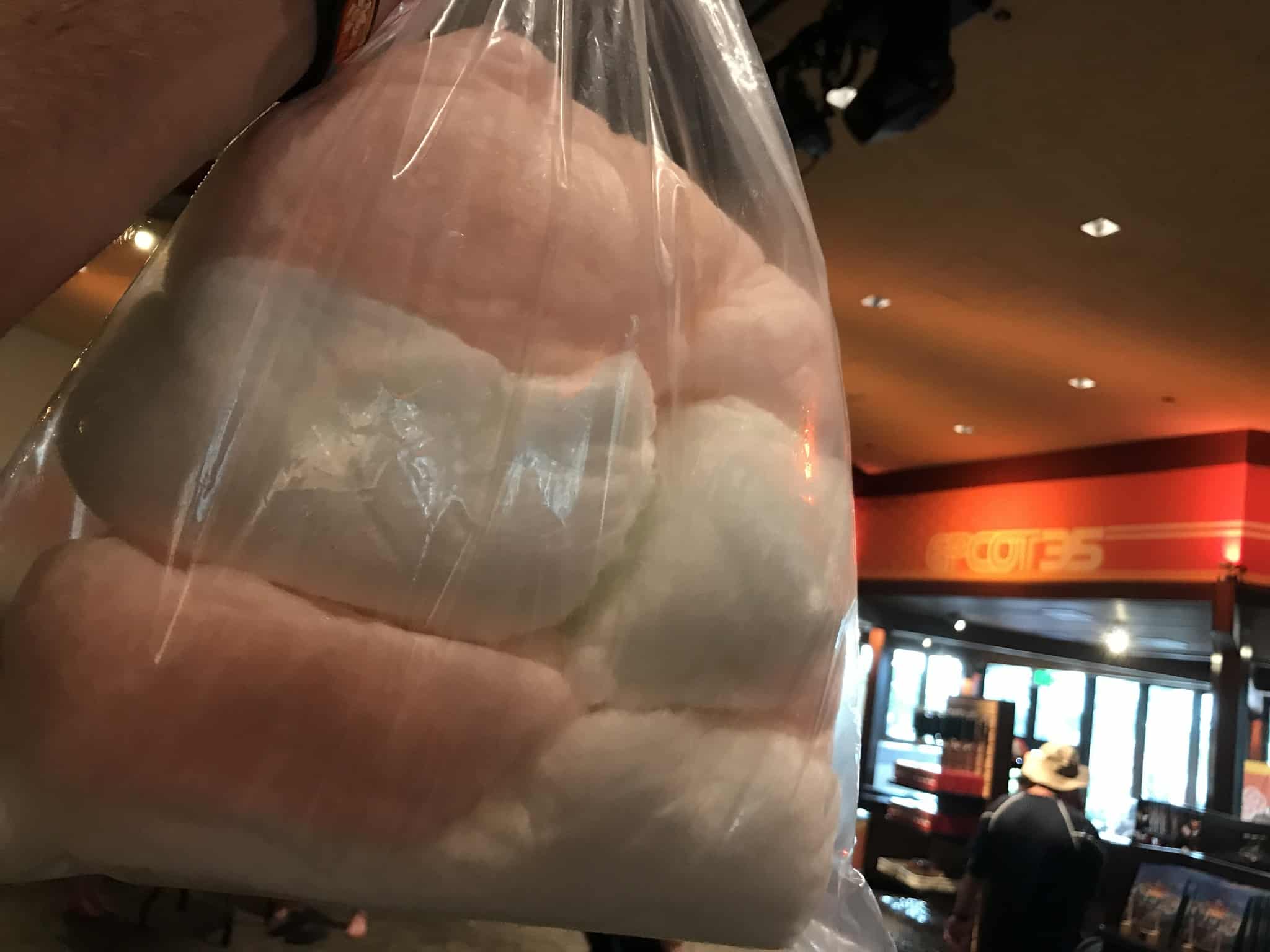 REVIEW: 35 Years of Epcot Legacy Showplace & Craft Beers, Epcot International Food and Wine Festival 2017