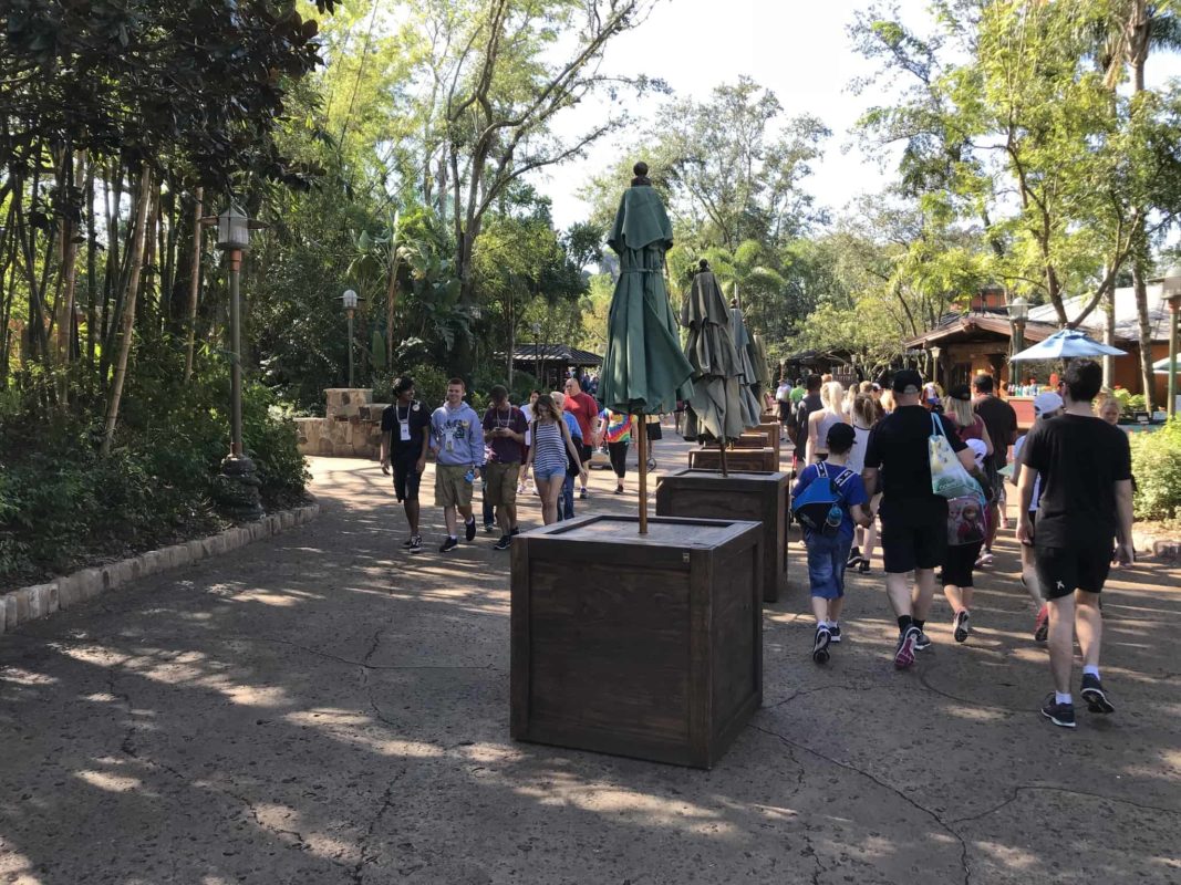PHOTOS: Pandora at Disney’s Animal Kingdom Prepares for Massive Thanksgiving Holiday Crowds