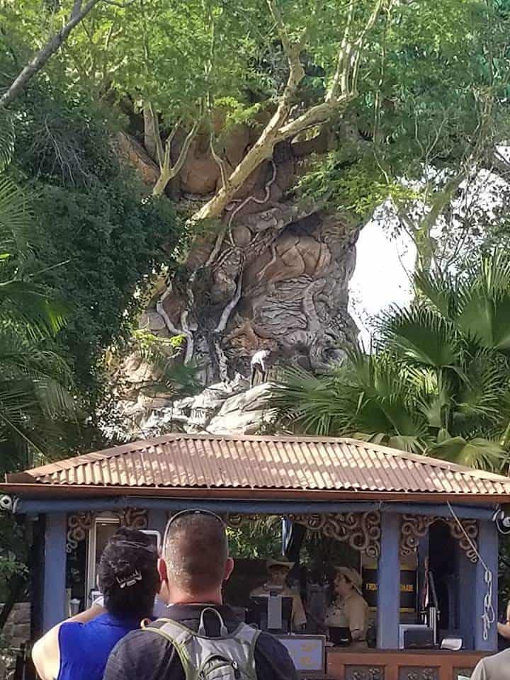 PHOTO: Guests Try to Climb Animal Kingdom’s Tree of Life at Walt Disney World
