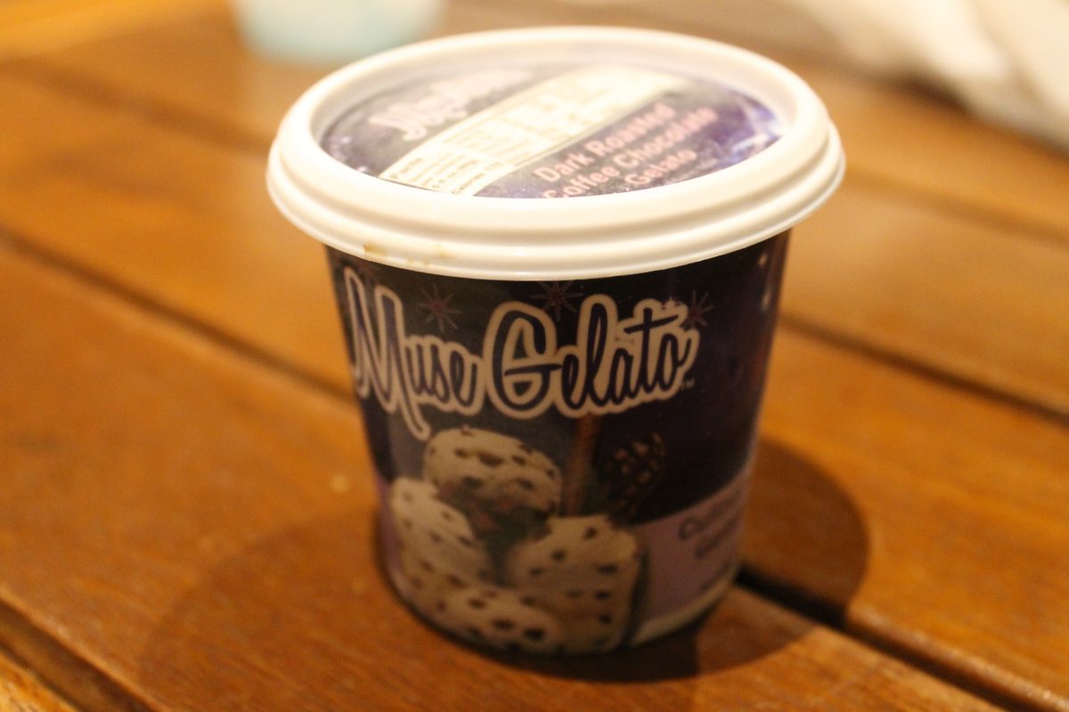 Geyser Point Dark Roasted Coffee Infused Chocolate Gelato