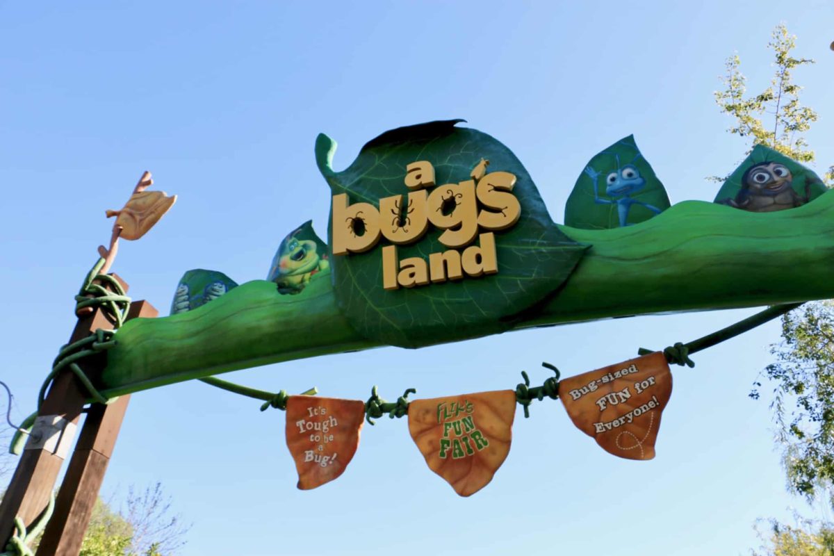 a bug's land