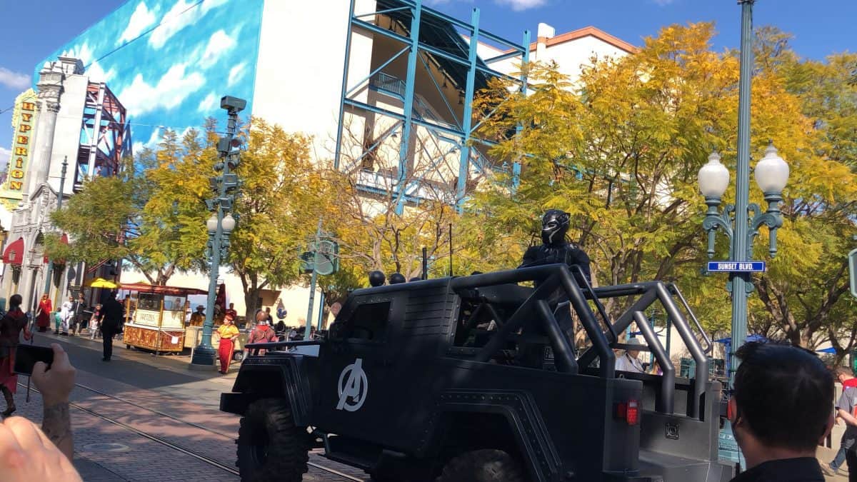 black panther, character meet and greet, disneyland, disney california adventure, t'challa, avengers