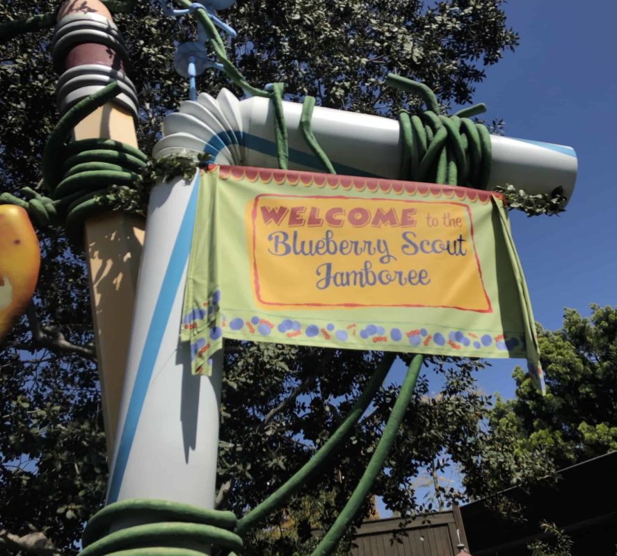 bugs land, pixarfest sign, blueberry scout jamboree