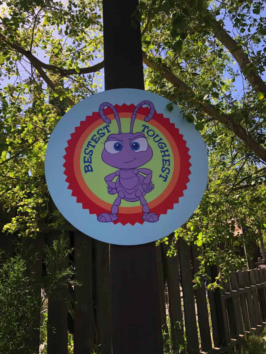 blueberry scout jamboree sign, bugs land sign, bugs life, pixarfest sign