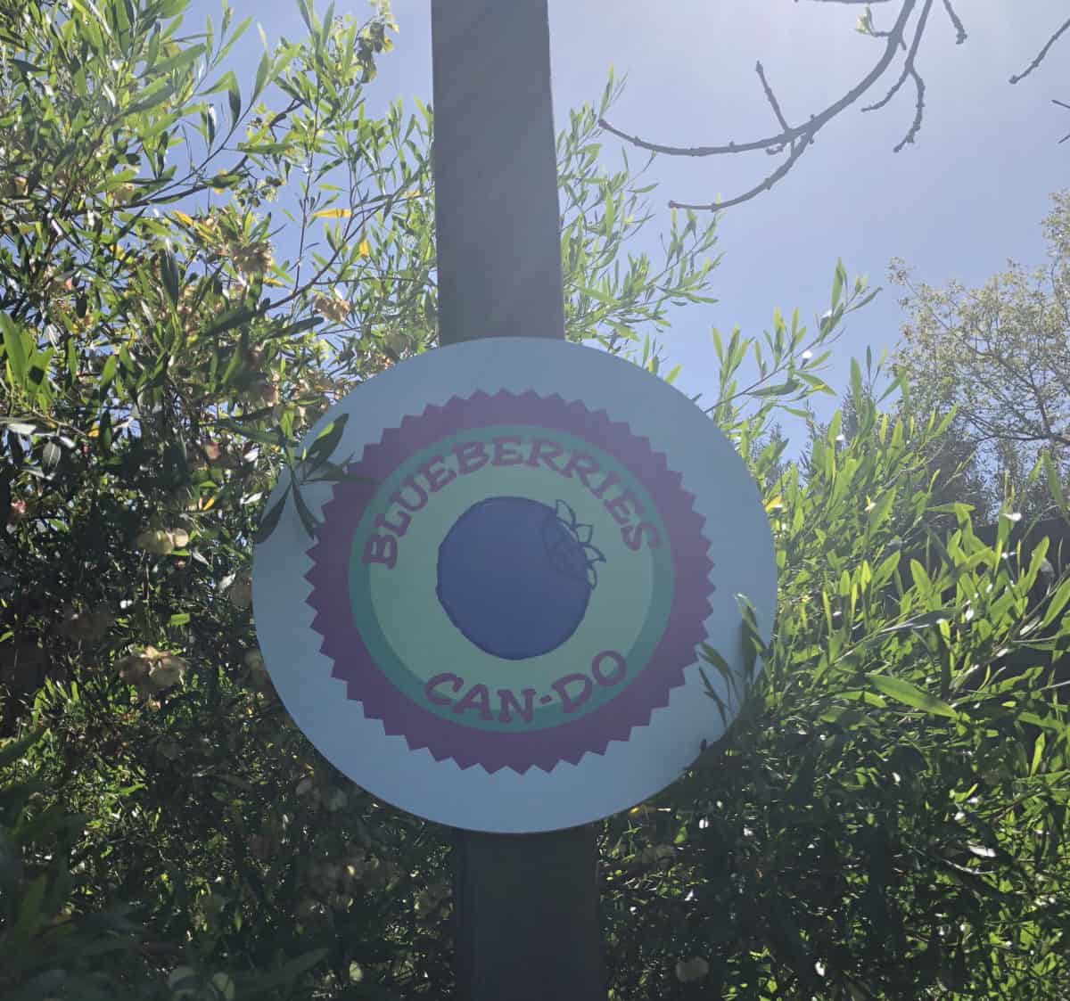 bugs land sign, pixarfest sign, dca sign, bugs land, blueberry scout jamboree sign