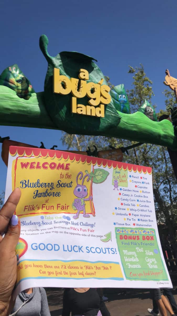 bugs land, pixarfest, blueberry scout jamboree, bugs life