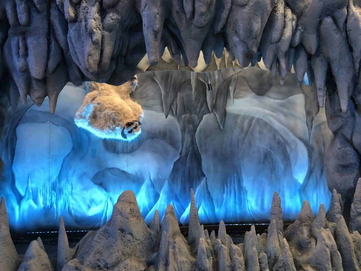 A Hoth photopass scene for guests to take pictures in on May the Fourth 2018, also known as Star Wars Day, at Disneyland