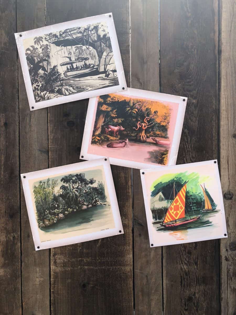 Jungle Cruise concept art decorating the outside of the construction wall for the future Tropical Hideaway in Adventureland in Disneyland