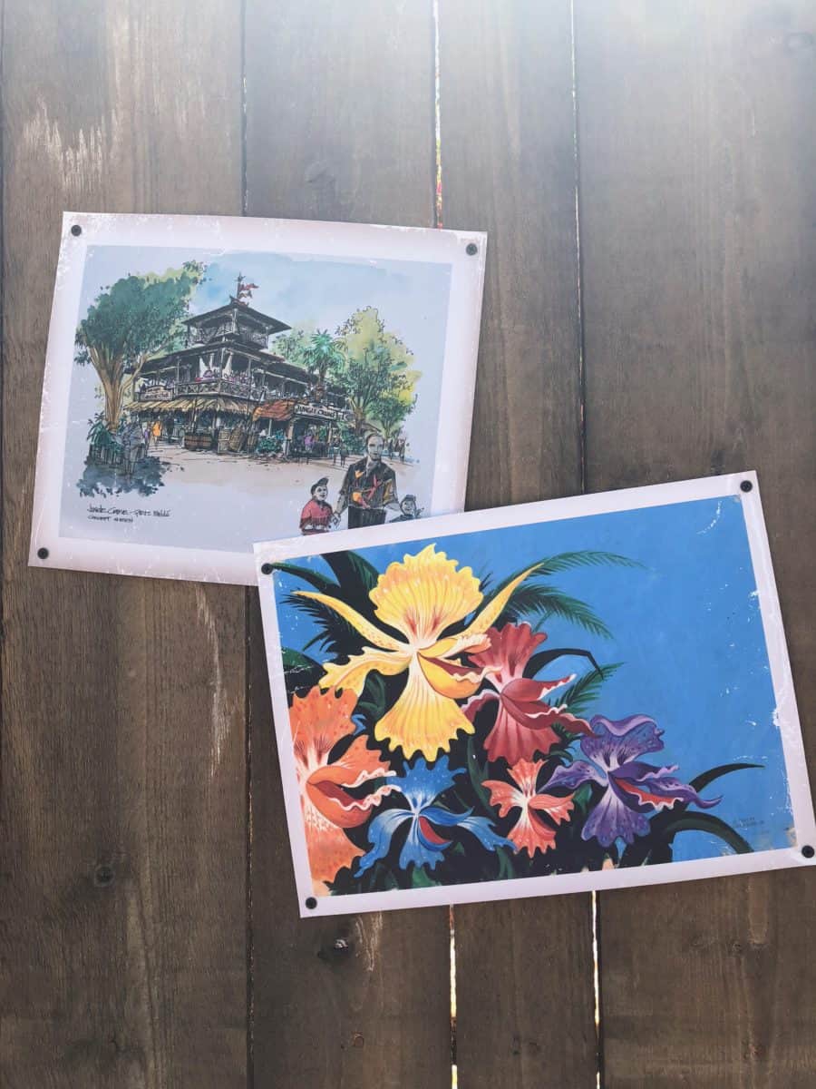 Walt Disney's Enchanted Tiki Room concept art decorating the outside of the construction wall for the future Tropical Hideaway in Adventureland in Disneyland