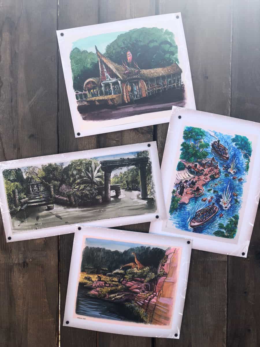 Jungle Cruise concept art decorating the outside of the construction wall for the future Tropical Hideaway in Adventureland in Disneyland