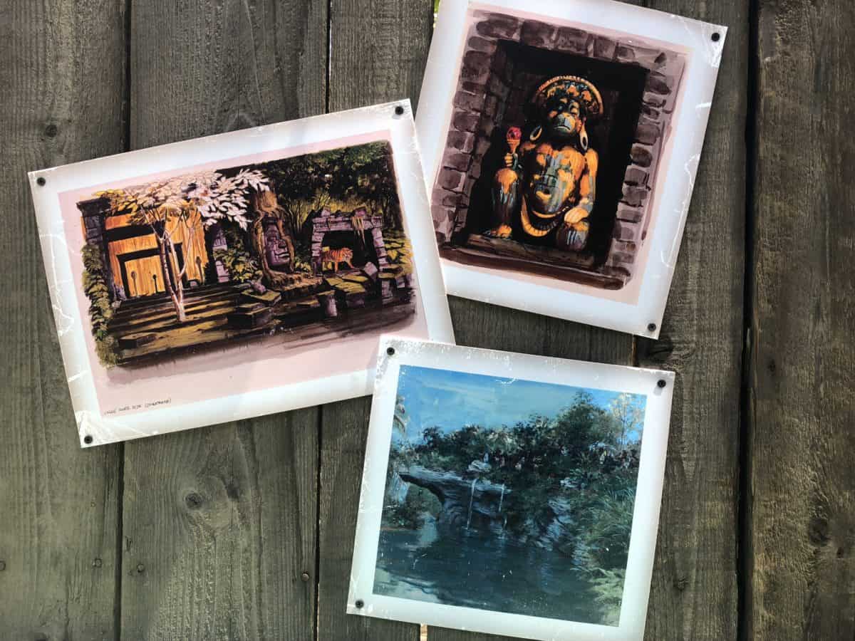 Jungle Cruise concept art decorating the outside of the construction wall for the future Tropical Hideaway in Adventureland in Disneyland