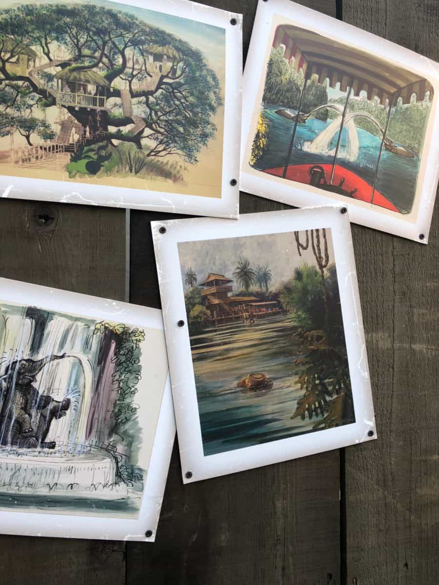 Jungle Cruise concept art decorating the outside of the construction wall for the future Tropical Hideaway in Adventureland in Disneyland