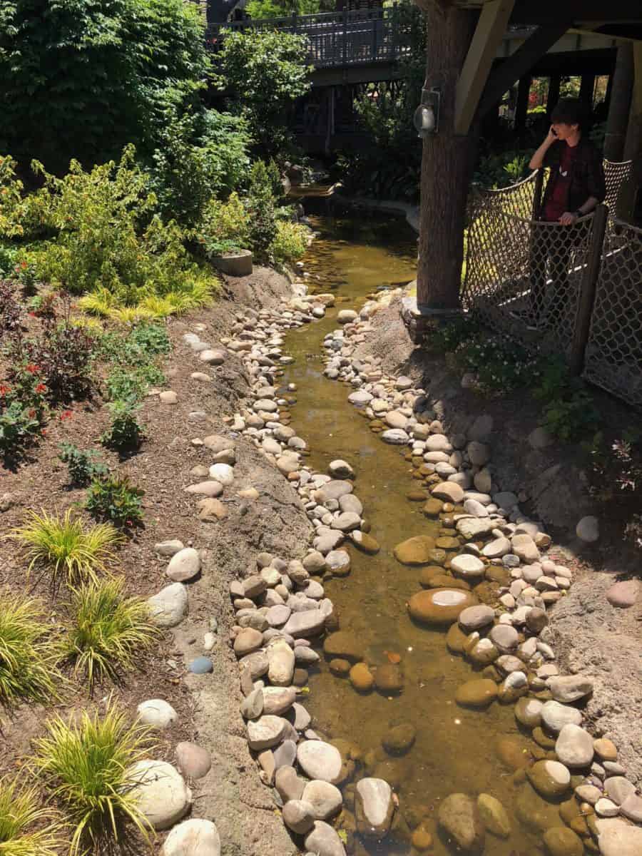 The river in Critter Country, previously dry, is starting to refill with water (photo taken on May 16, 2018)
