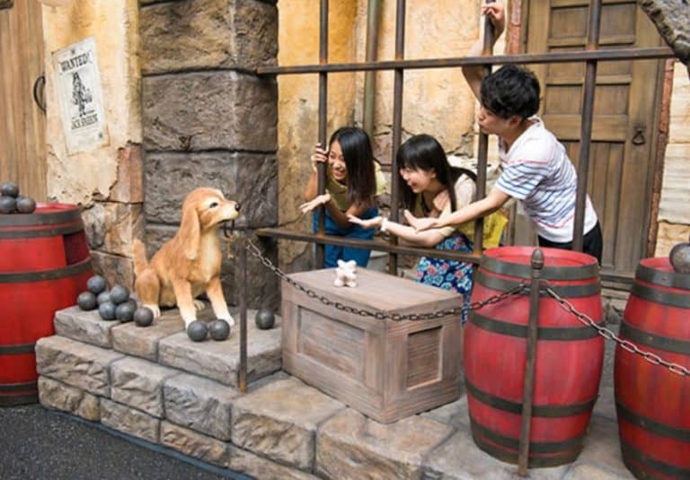 Pirates Summer Tokyo Disney Resort