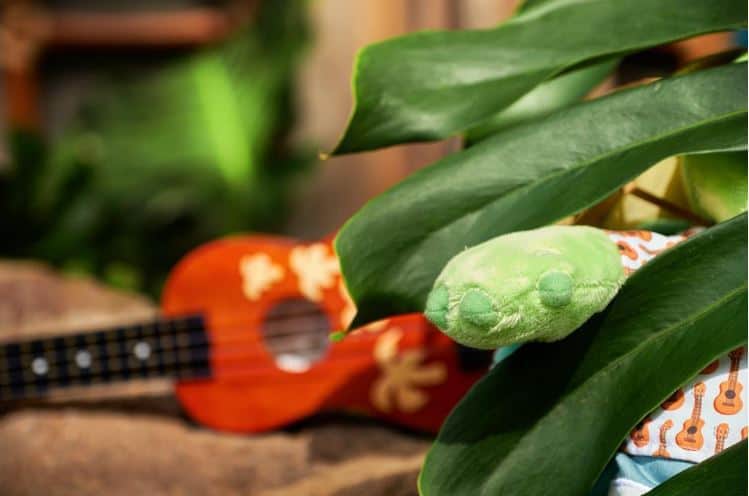 duffy the disney bear new friend in aulani hawaii
