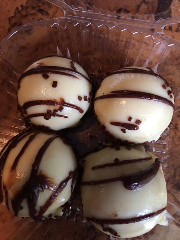 Zebra Domes Animal Kingdom Lodge