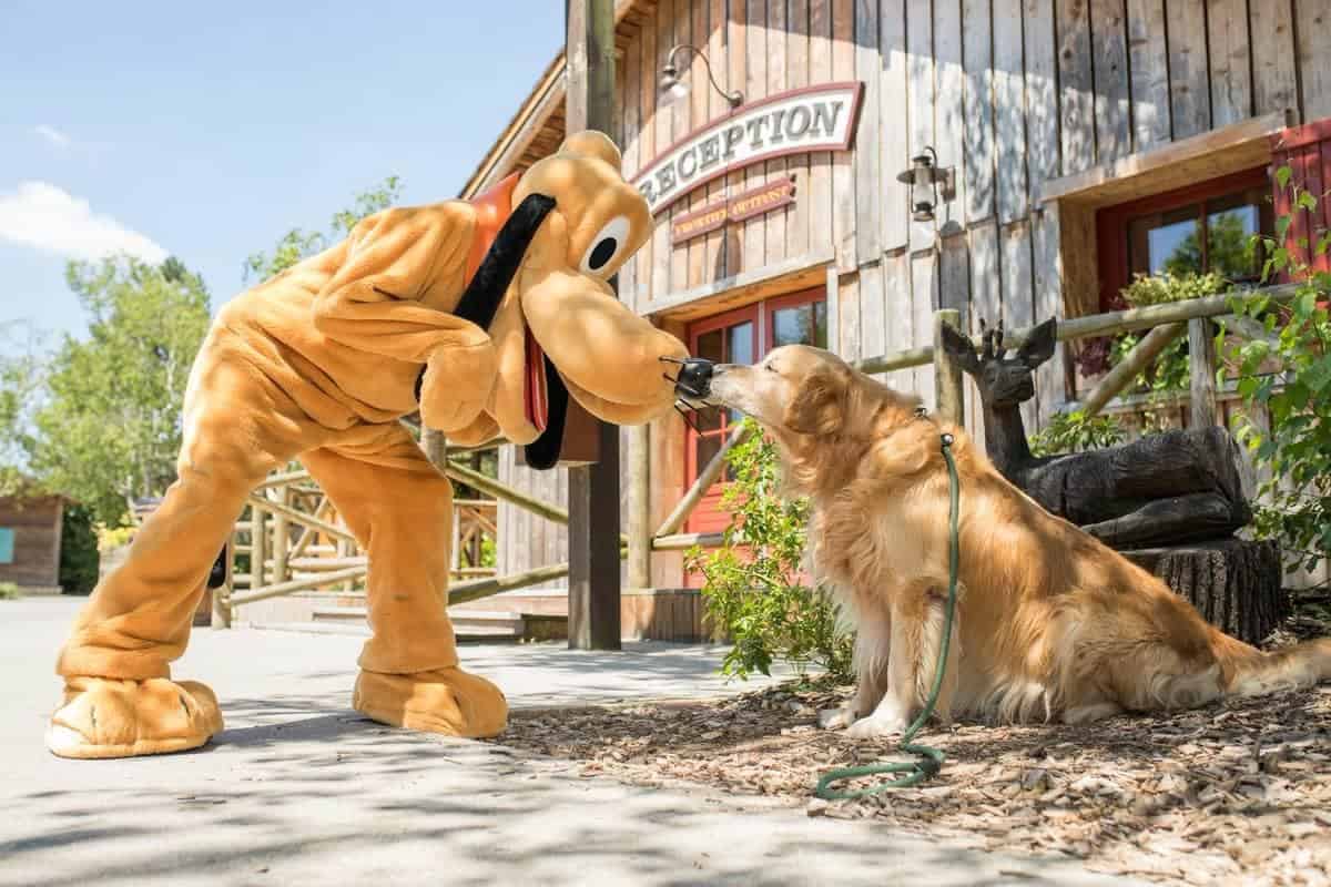 Dogs allowed at Disneyland Paris Davy Crockett Ranch July 2018