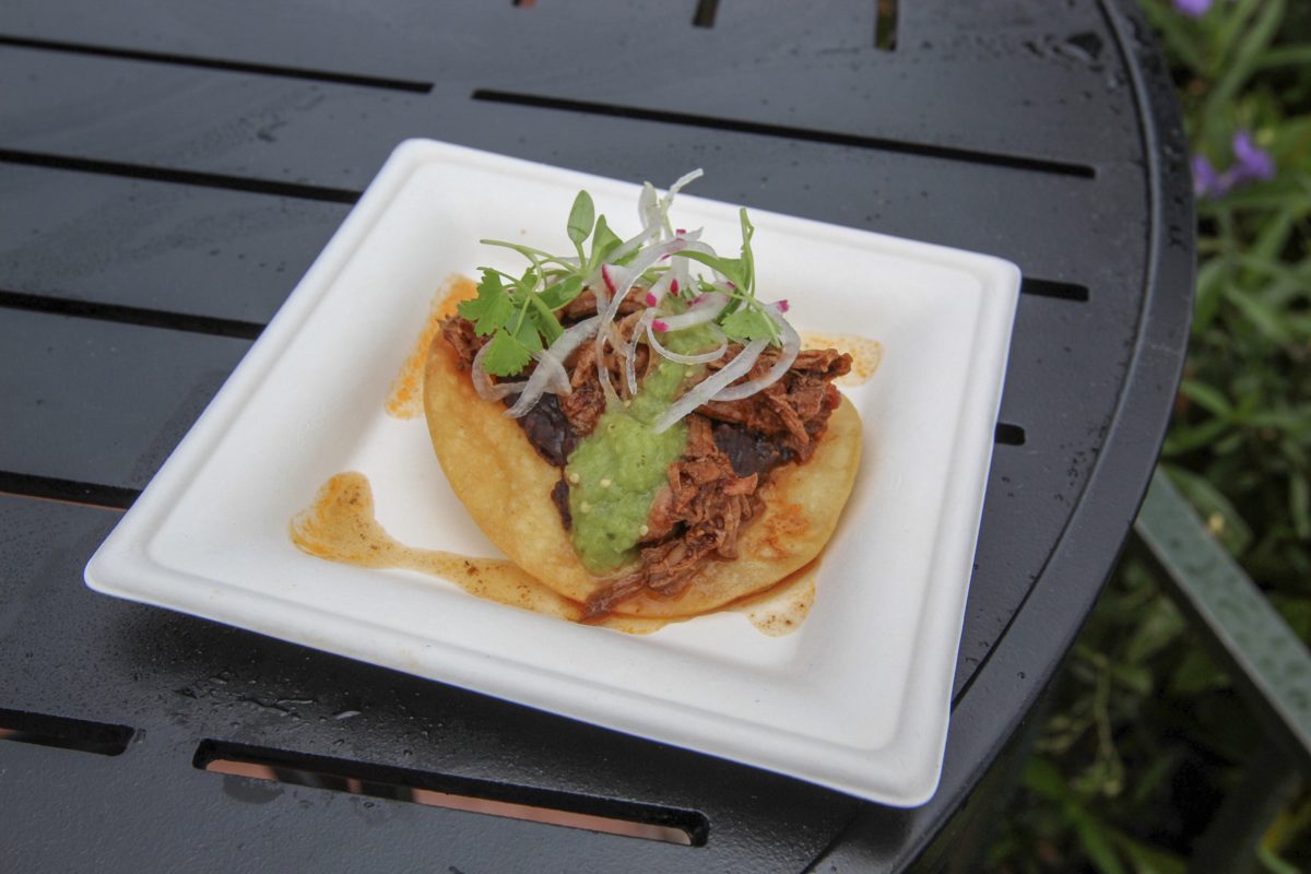 Epcot Food & Wine 2018 Mexico Short Rib Tostada