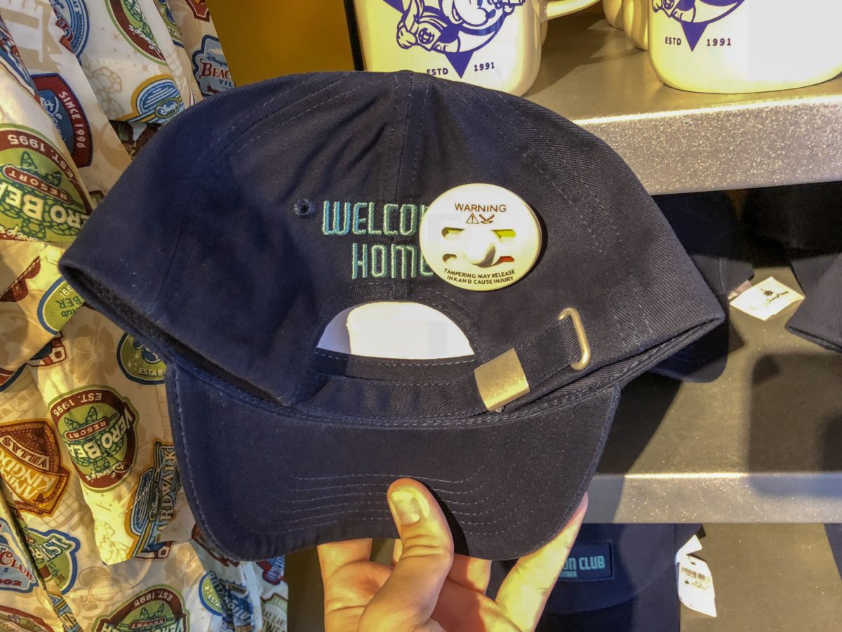 DVC Merch - Baseball Cap - Back
