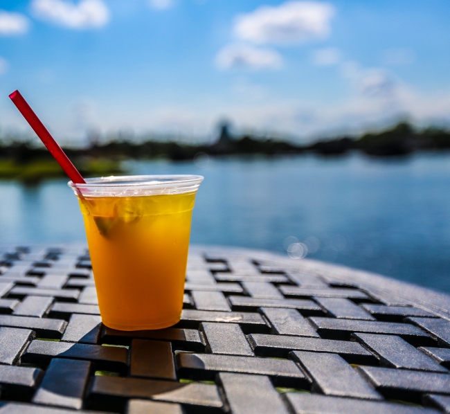 Epcot Festival of the Arts 2019 &ndash; The Painted Panda &ndash; Kung Fu Punch