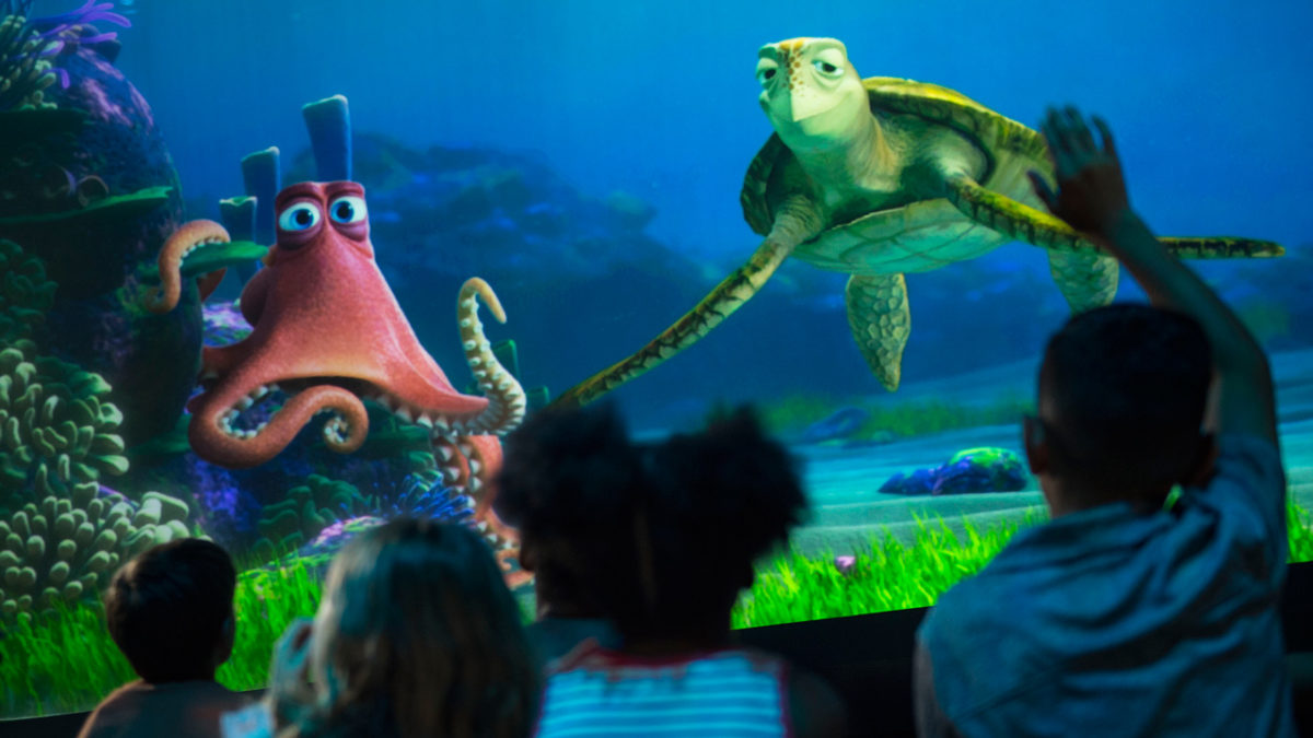 turtle talk