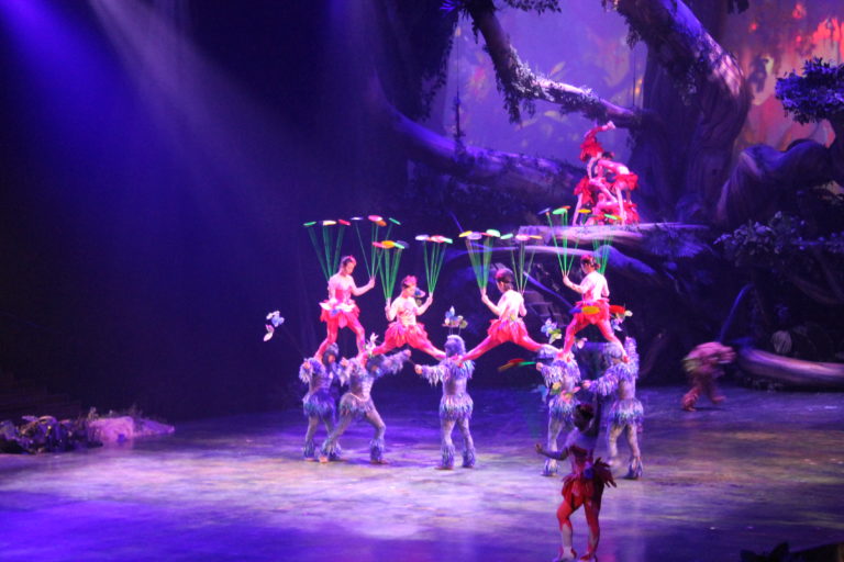 Tarzan Call of the Jungle at the Storyhouse Stage