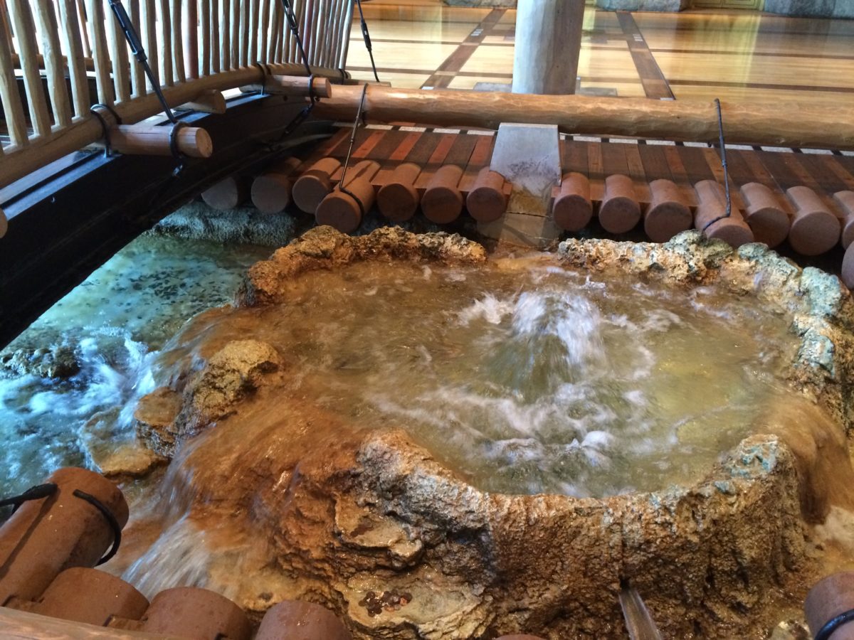 wilderness lodge