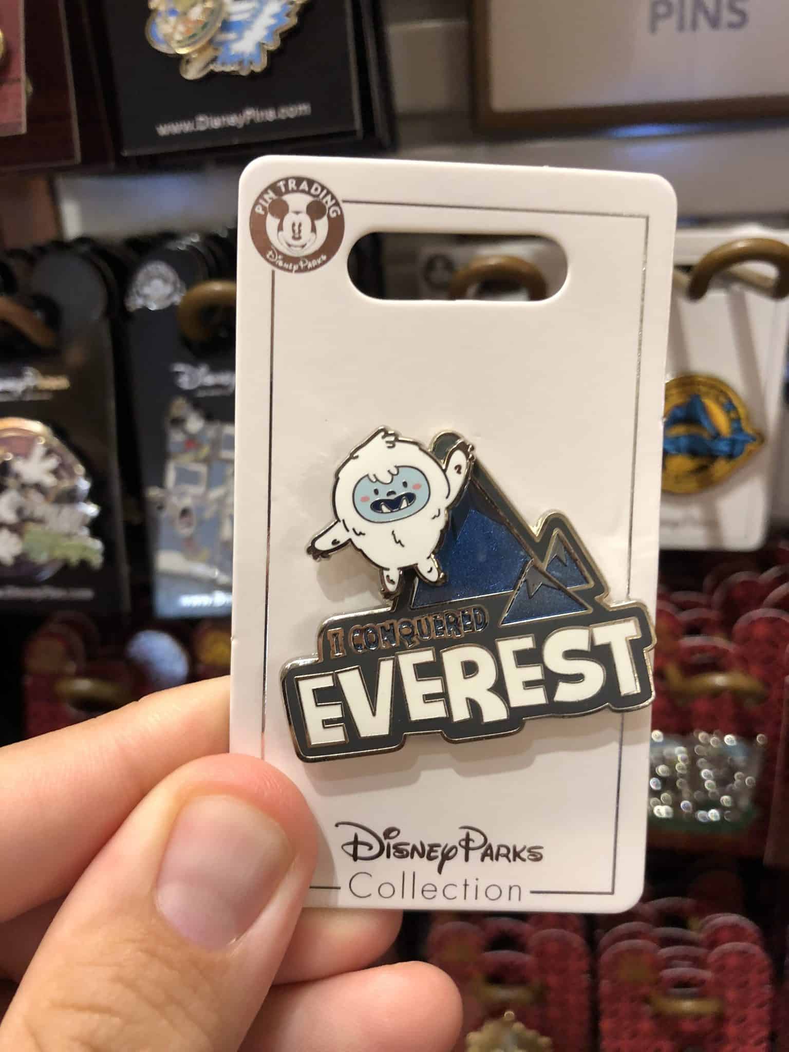 Expedition Everest pin, $12.99