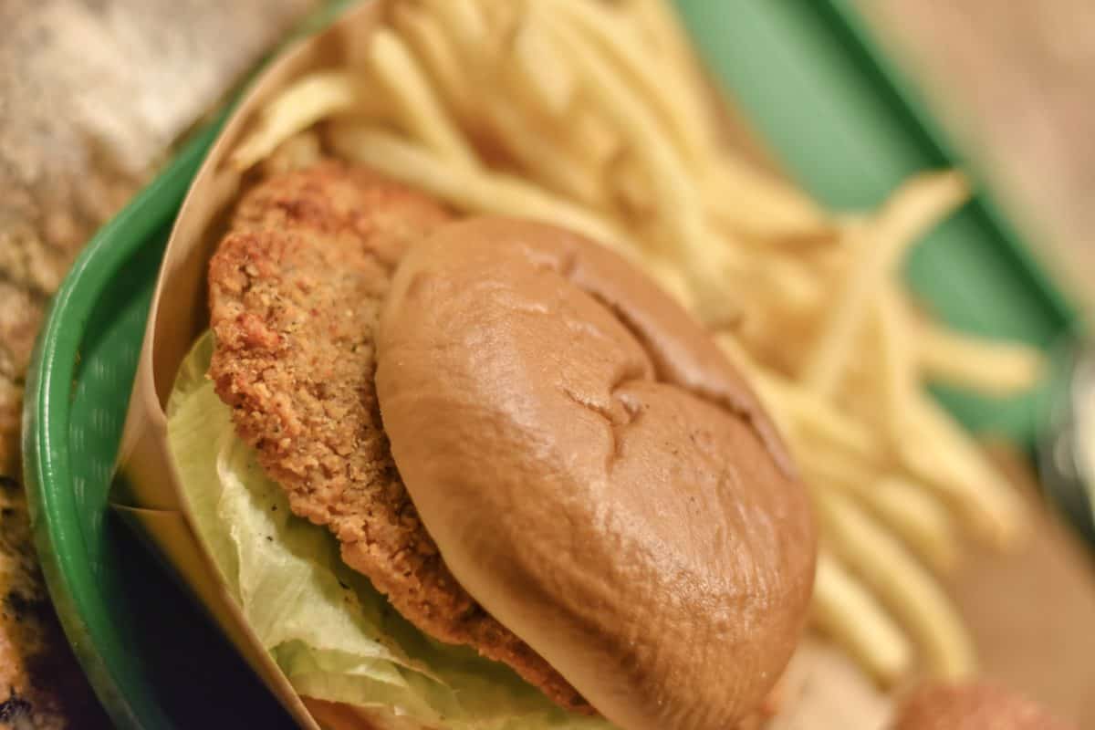 Hungry Bear Restaurant New Chicken Sandwich