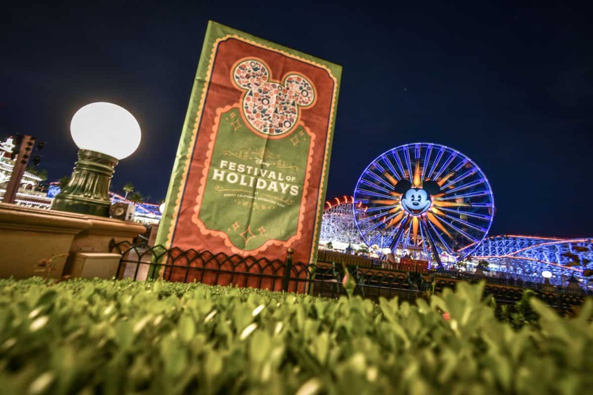 DCA Holiday Decor 11/2