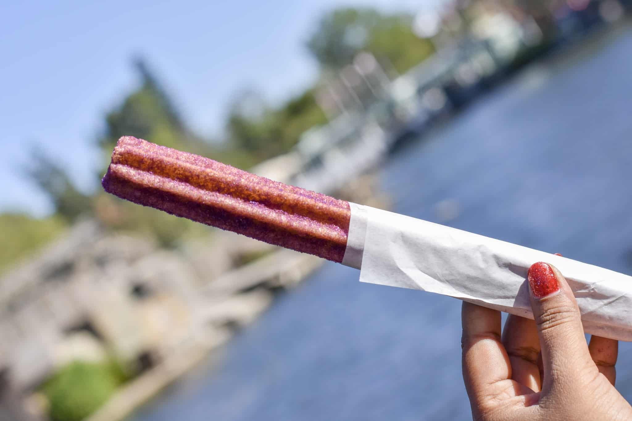 Sugar Plum Churro at Disneyland
