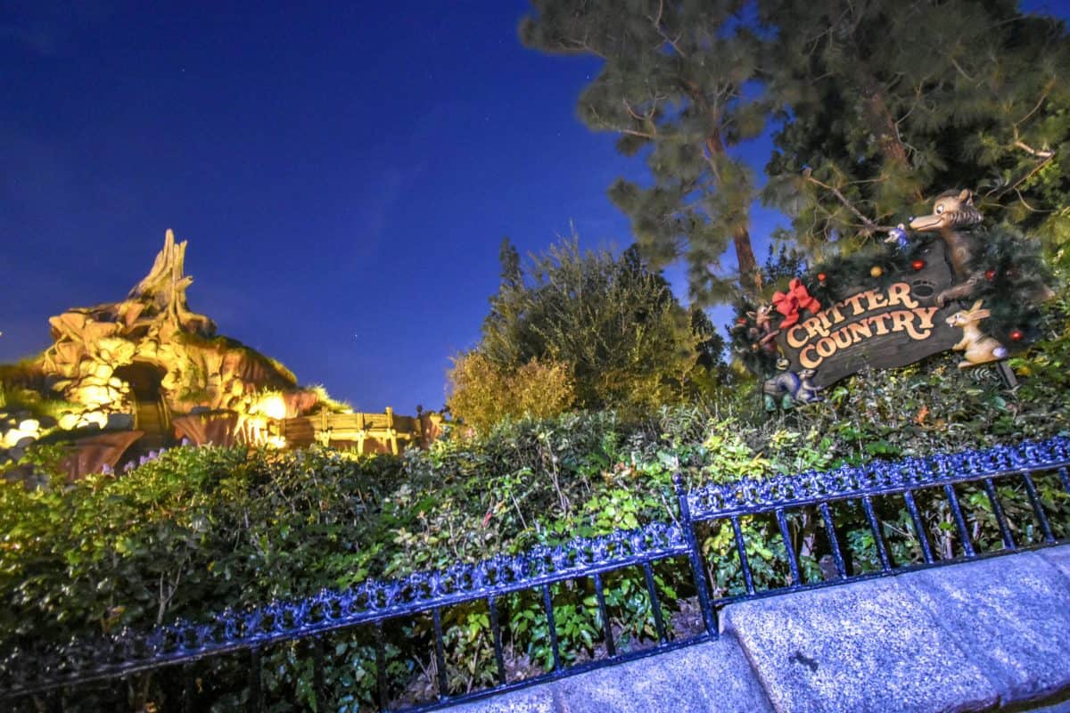 Critter Country Holiday Decor 11/2