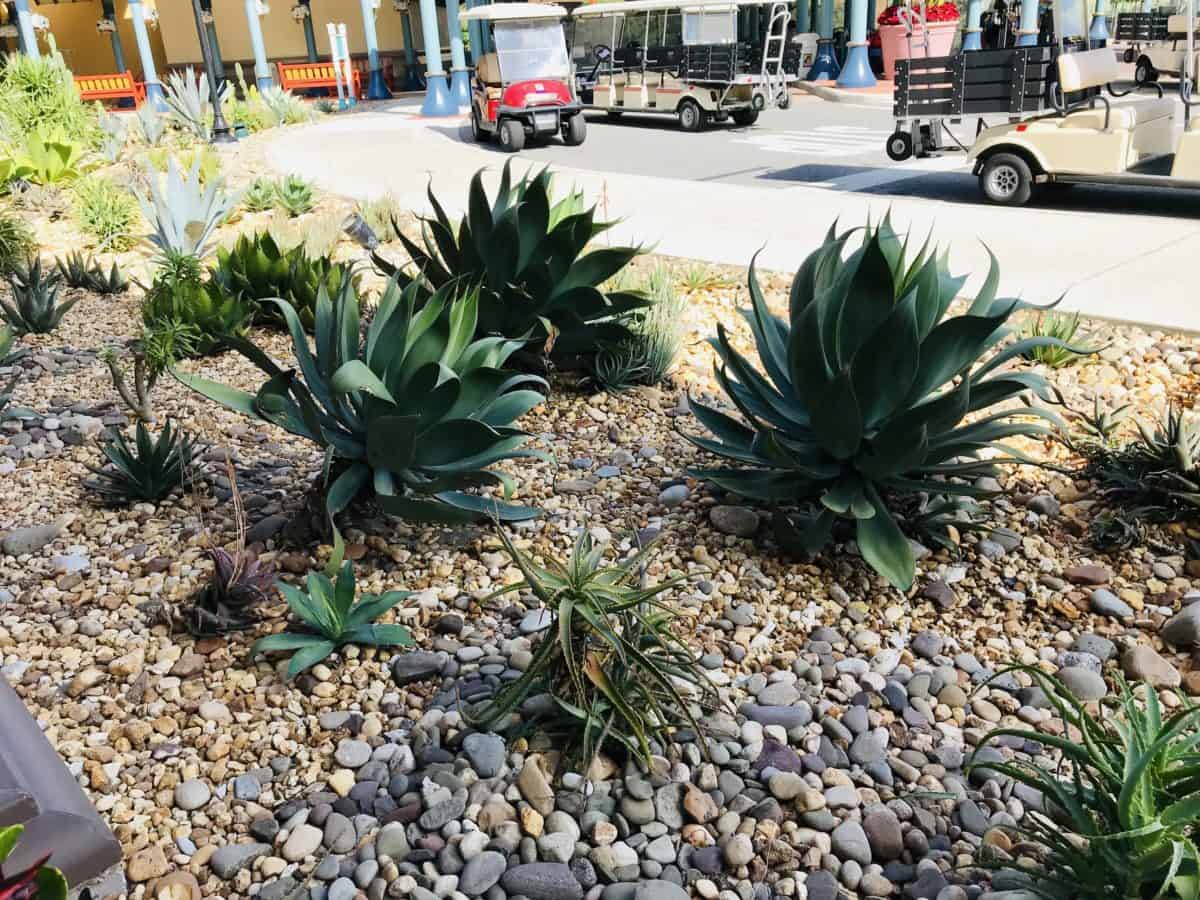 coronado construction update 11/25/18
