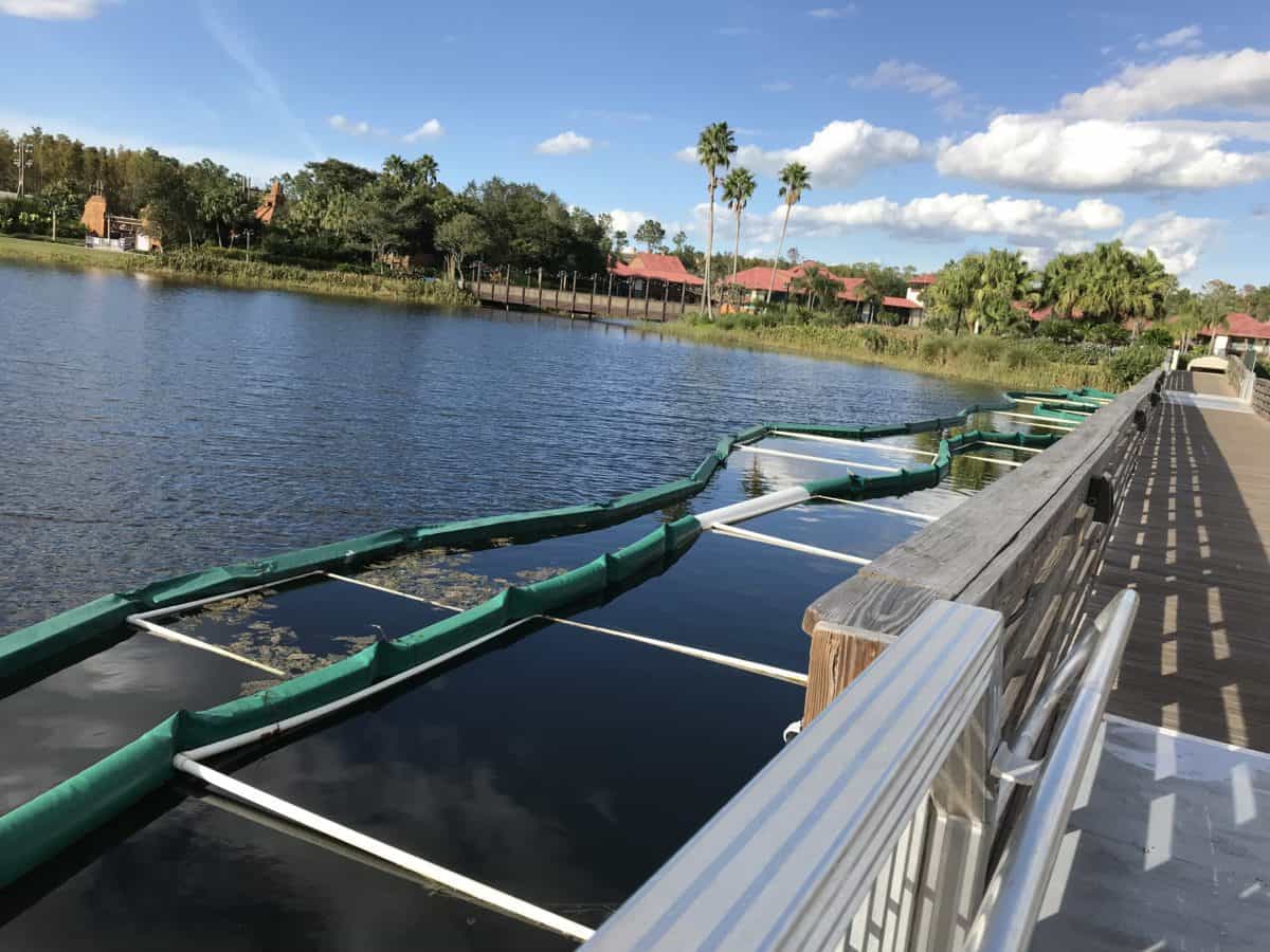 coronado construction update 11/25/18