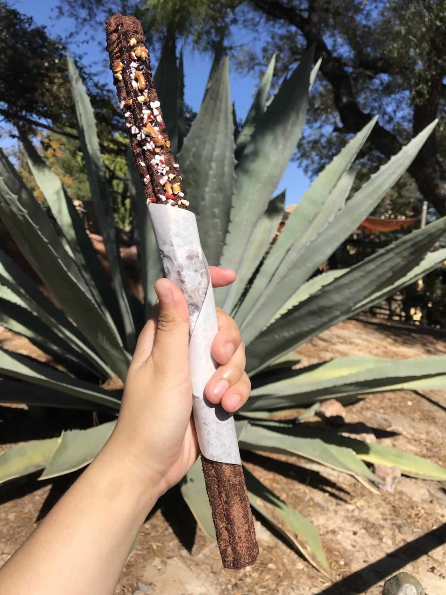 Disneyland, Fronteirland, Holiday, Churro