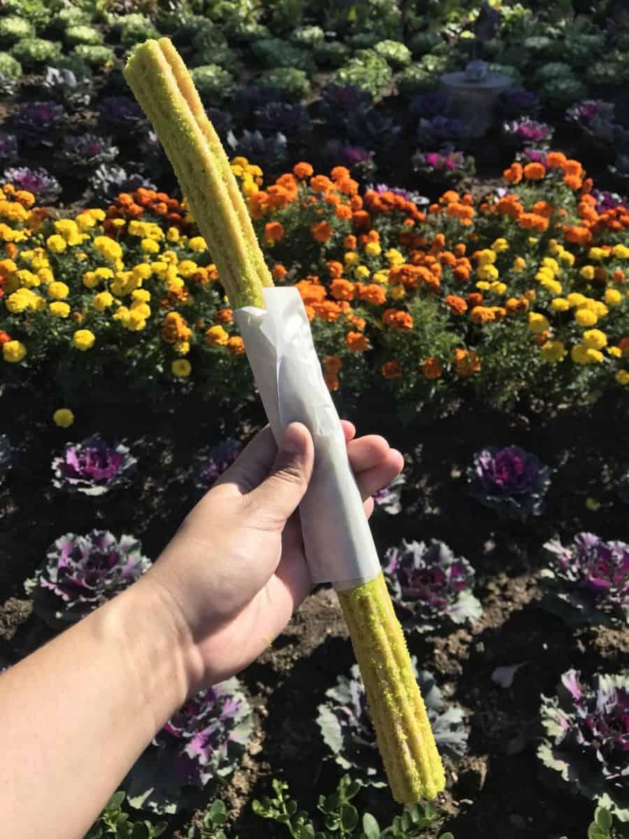Disneyland, Tomorrowloand, Churro, Holiday
