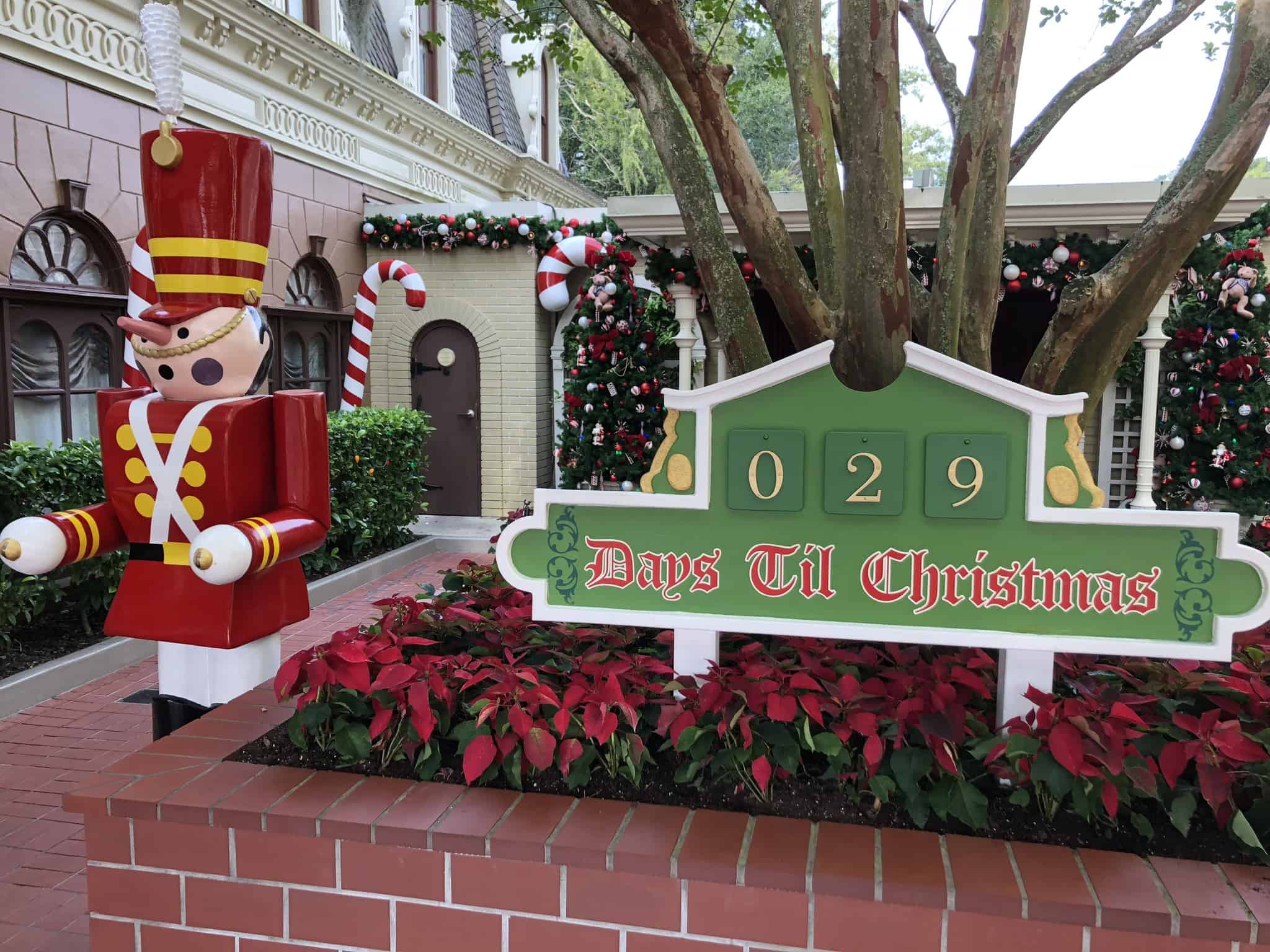 Disneyland, Tomorrowloand, Churro, Holiday