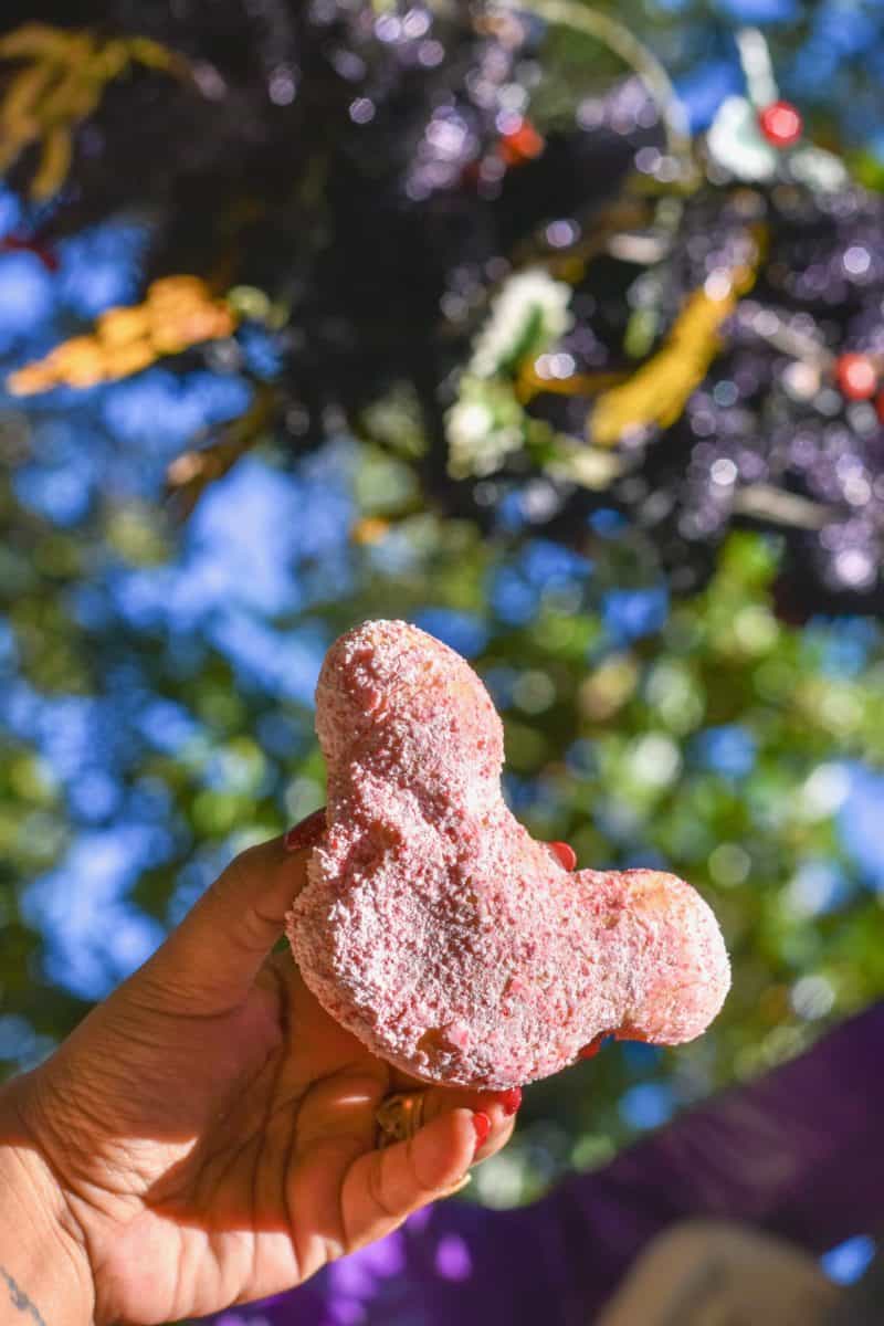 Candy Cane Beignets at Disneyland