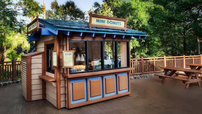 Mini Donuts at Disney's Blizzard Beach Water Park