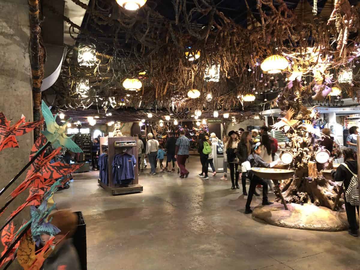Disney Animal Kingdom Windtraders pandora